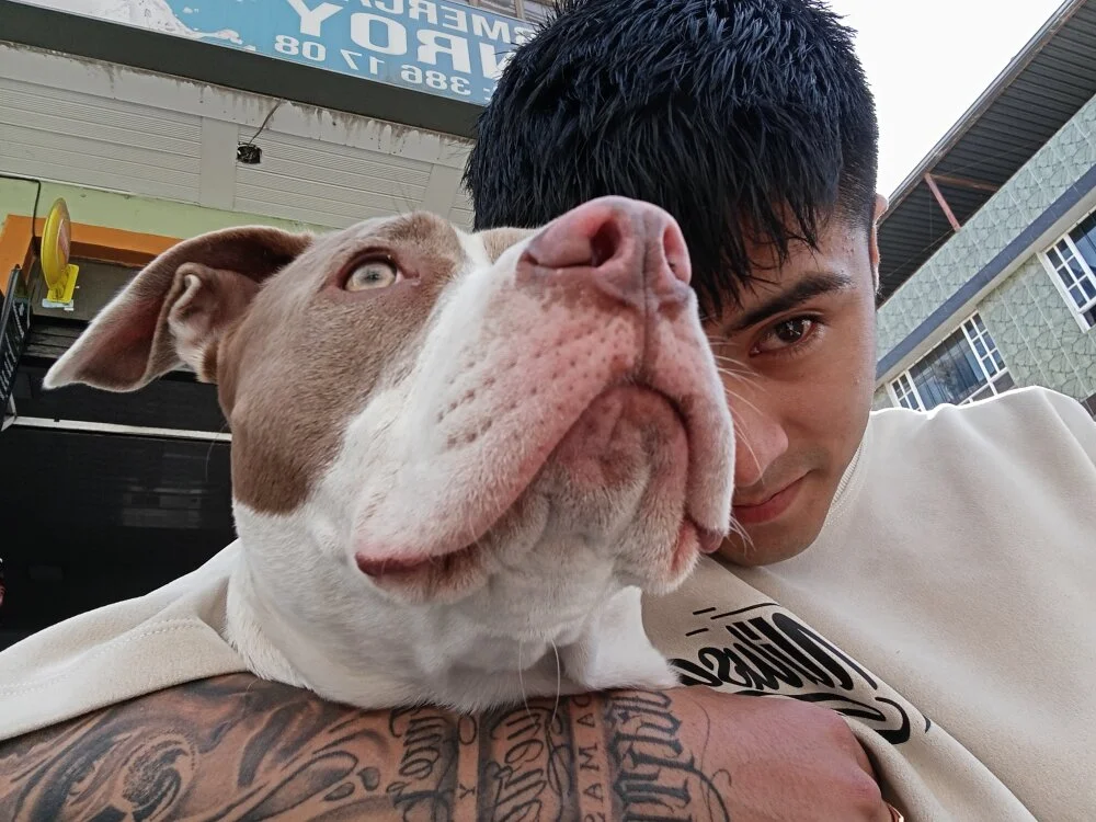 Chat XXX offline de jjmendez