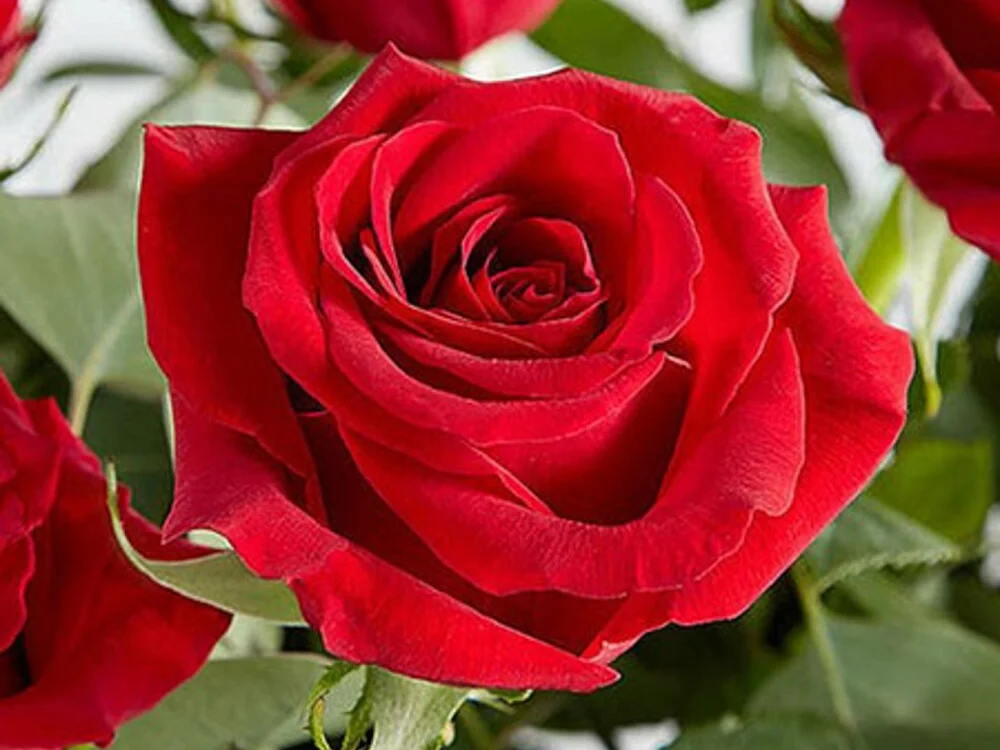 THANGAM2025 Offline XXX Chat