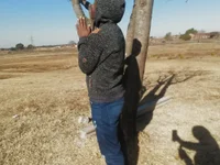 T0xic-Vee's webcam live show