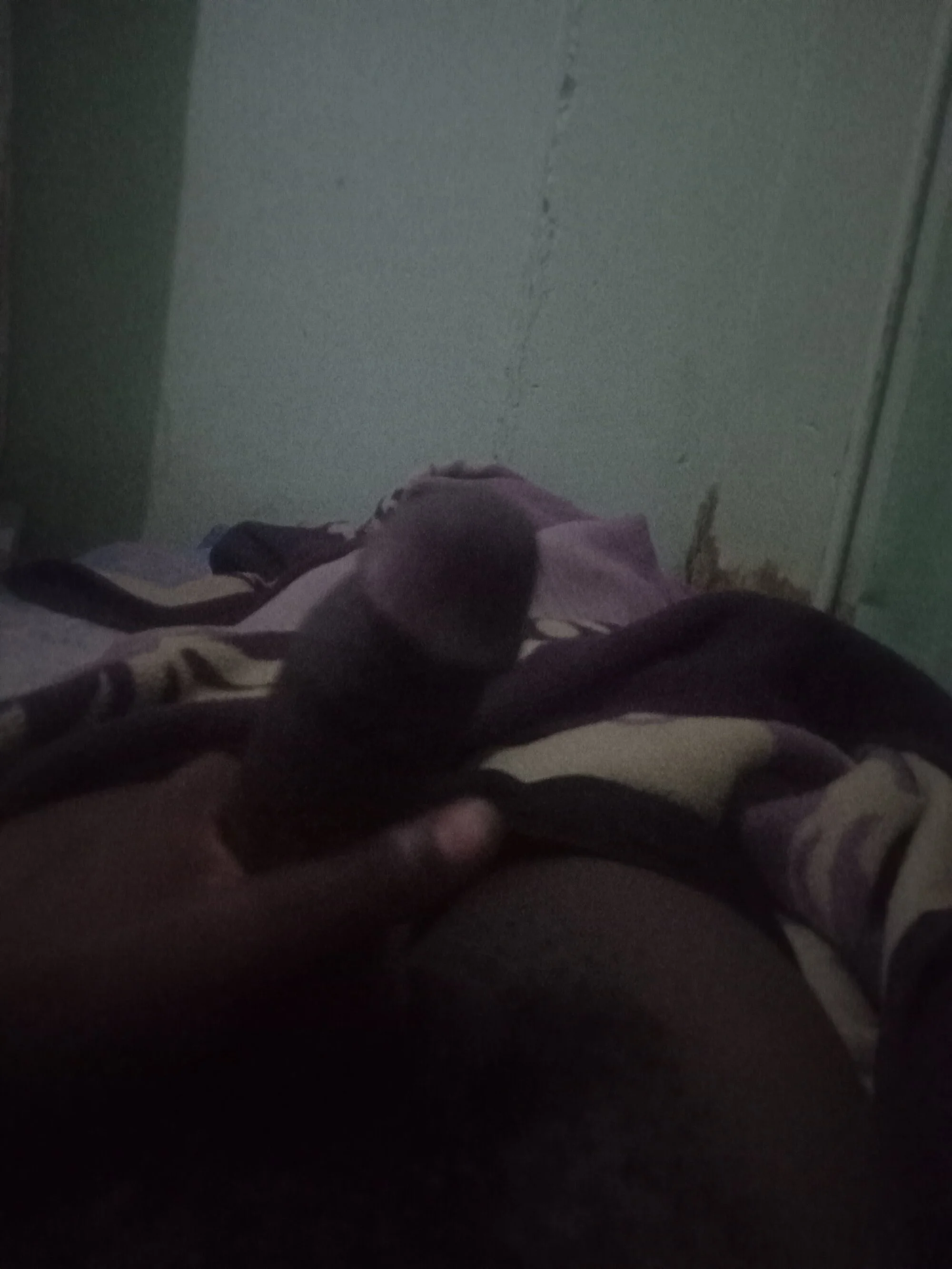 Swaelee02 live webcam