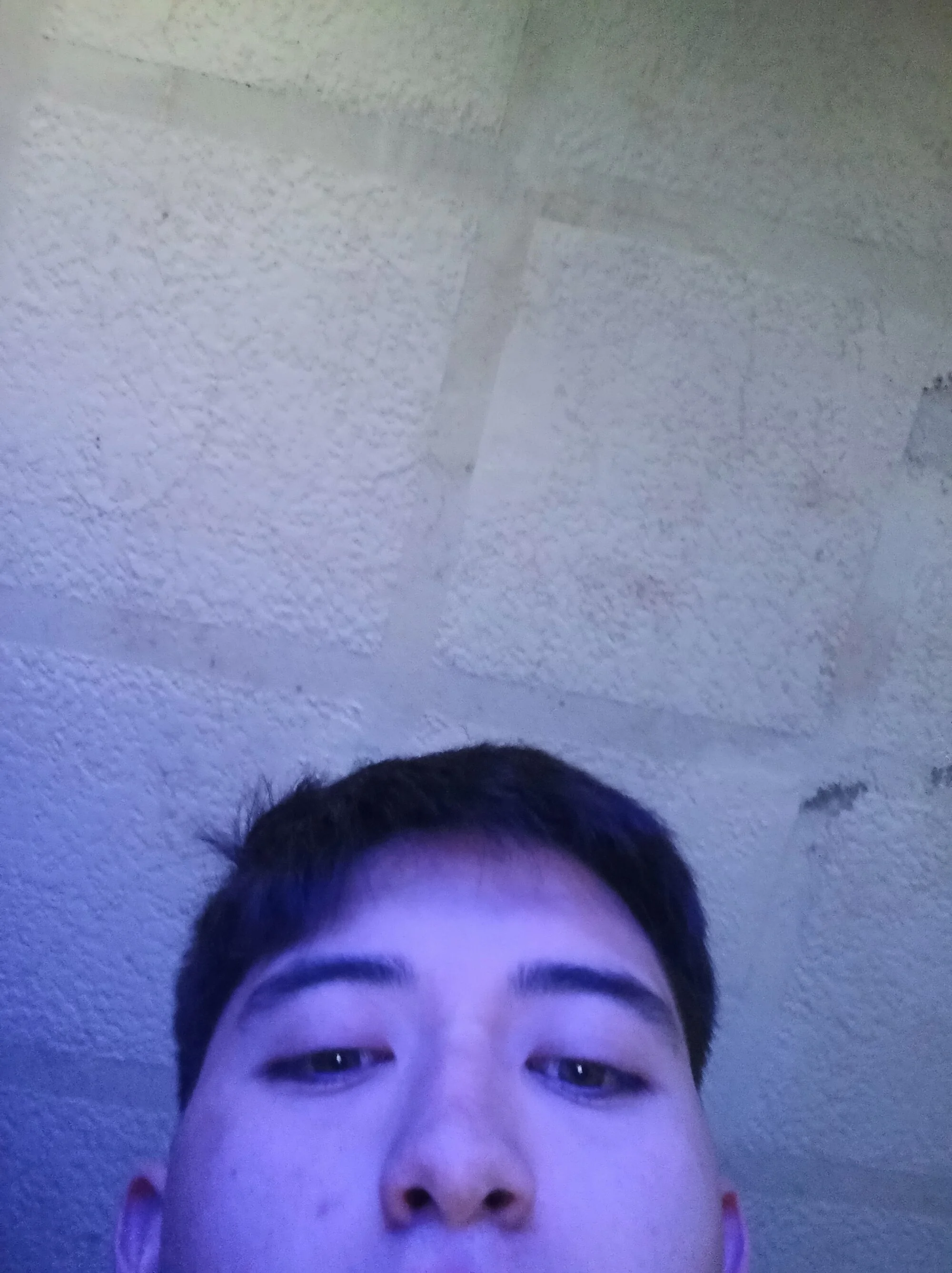 jossvergon2
