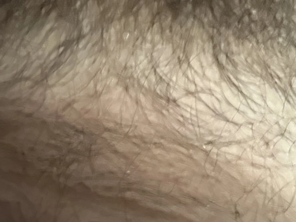 Офлайн-чат XXX bust_a_nut35