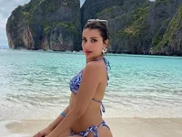 Модель Mimomir