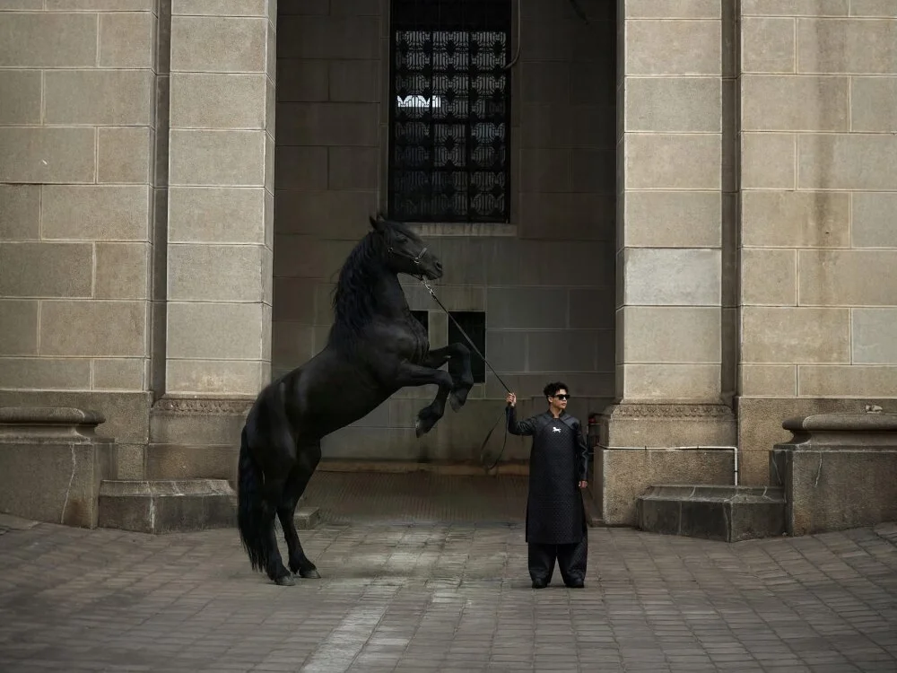 M0NSTERX 离线XXX聊天