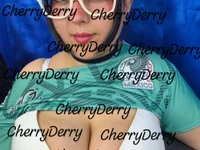 Модель CherryDerry