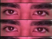 Z20011's webcam live show