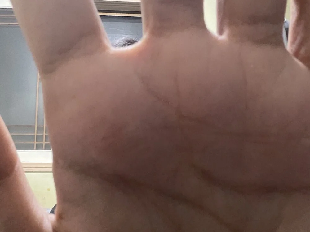 koreahankook2 오프라인 XXX 채팅