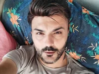 Модель Bysezarr