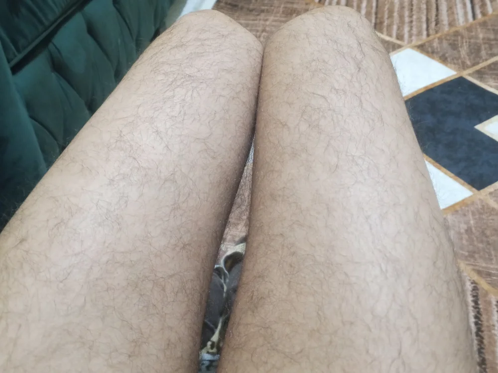 EgyptianHorse cam model