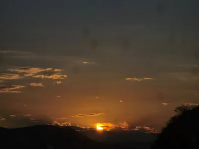 OsitoPeluditoSabrozito profile