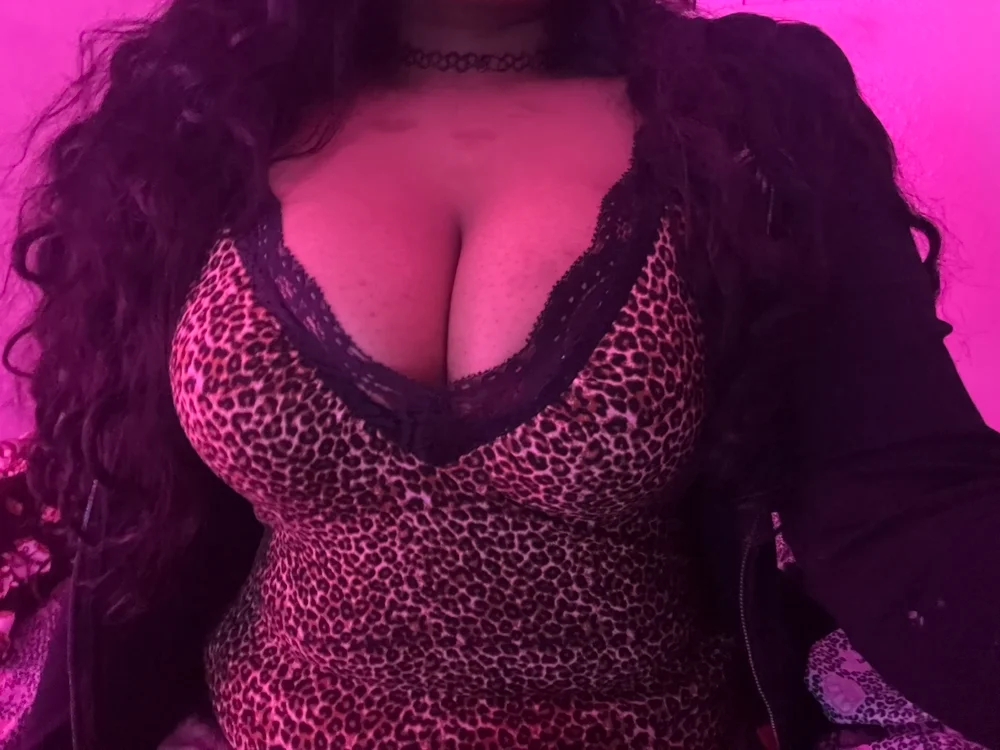 bunny_binaa