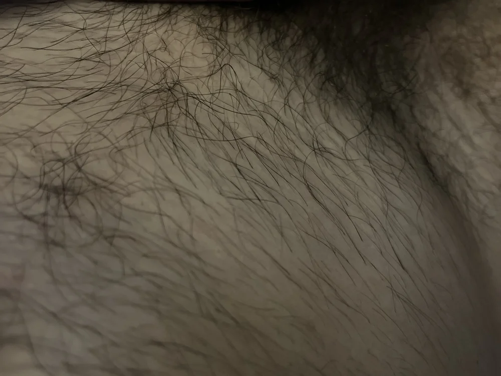 MisterDickFR's most recent online preview