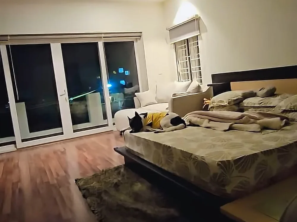 Massivehitman's most recent online preview