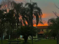 joaodopicao777