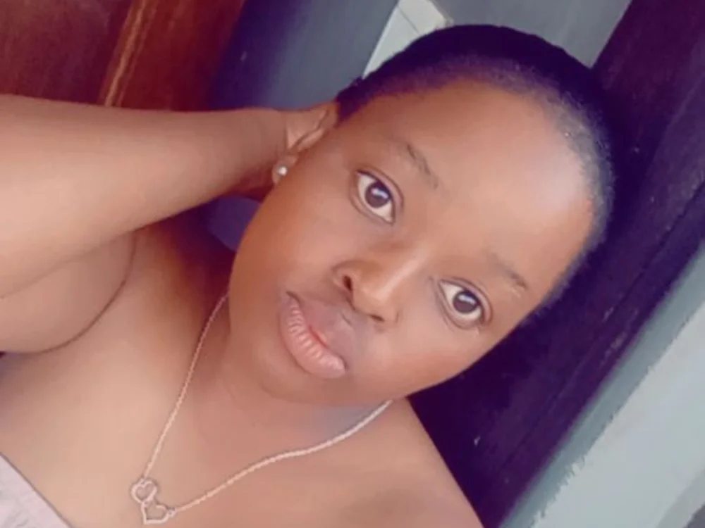Sponge84 Chat XXX offline
