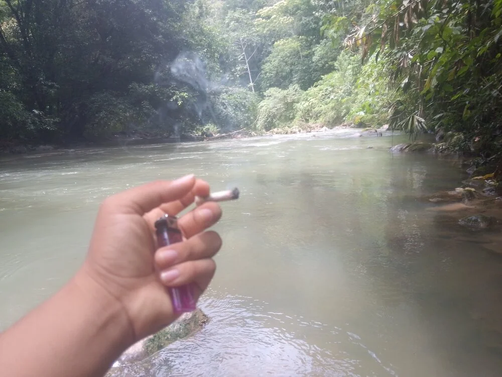 Rorosexhot Offline XXX Chat