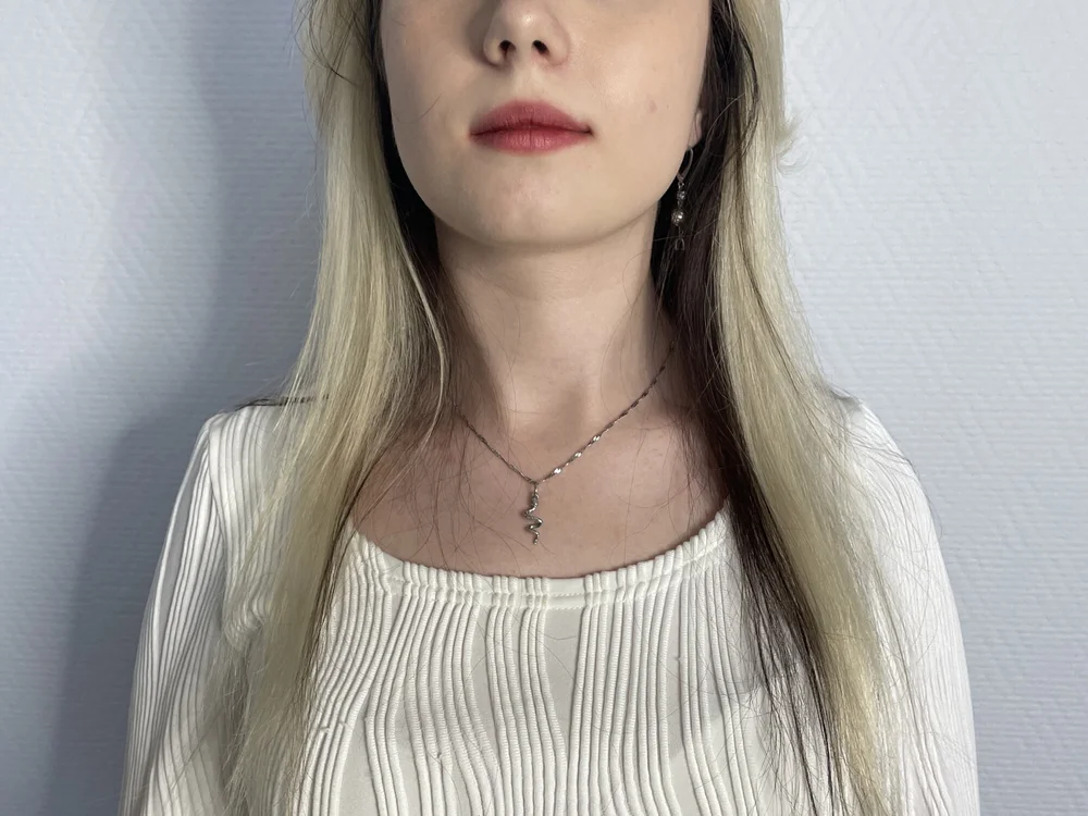 AnnisFoss' Offline Chat Room