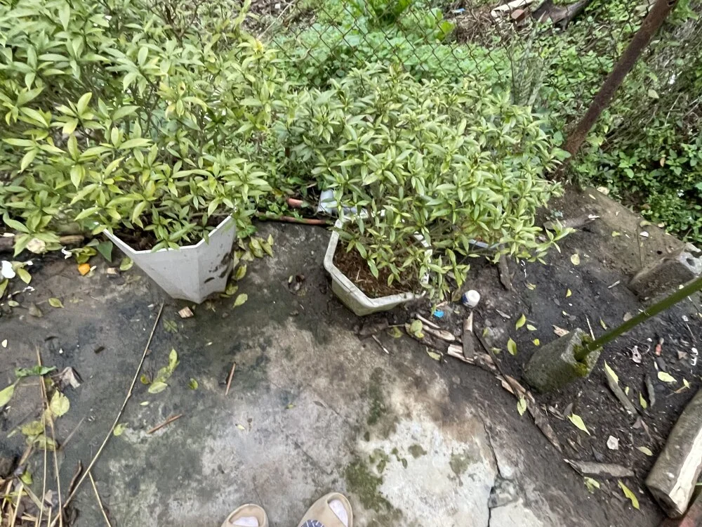 Miumiu999 现场XXX聊天