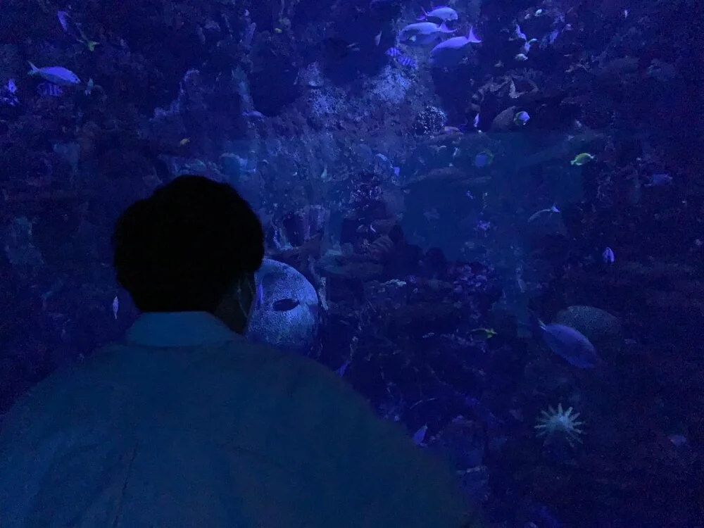 HIRO0844 오프라인 XXX 채팅