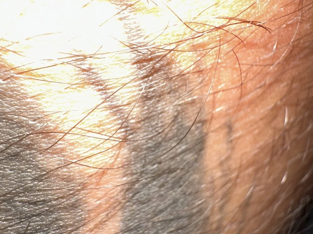 tyd247n Offline XXX chat