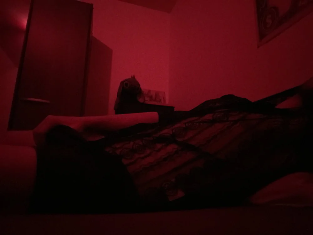 Shadowx699's Offline XXX Chat