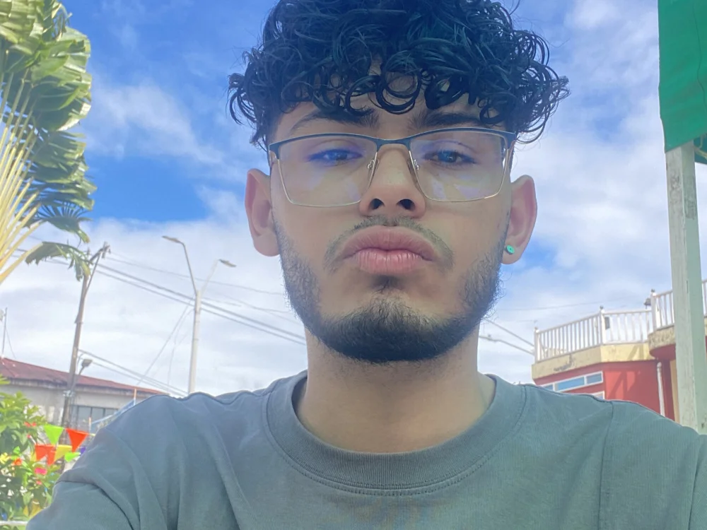 boysincam's Offline XXX Chat