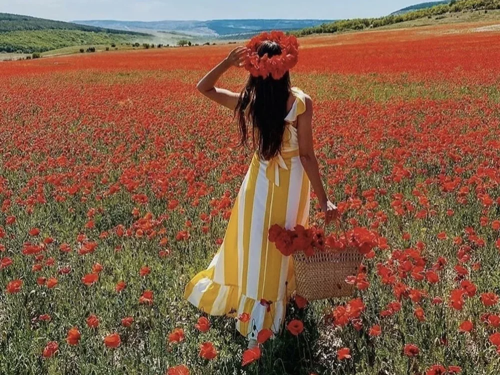 BlushingLady: офлайн-секс-чат