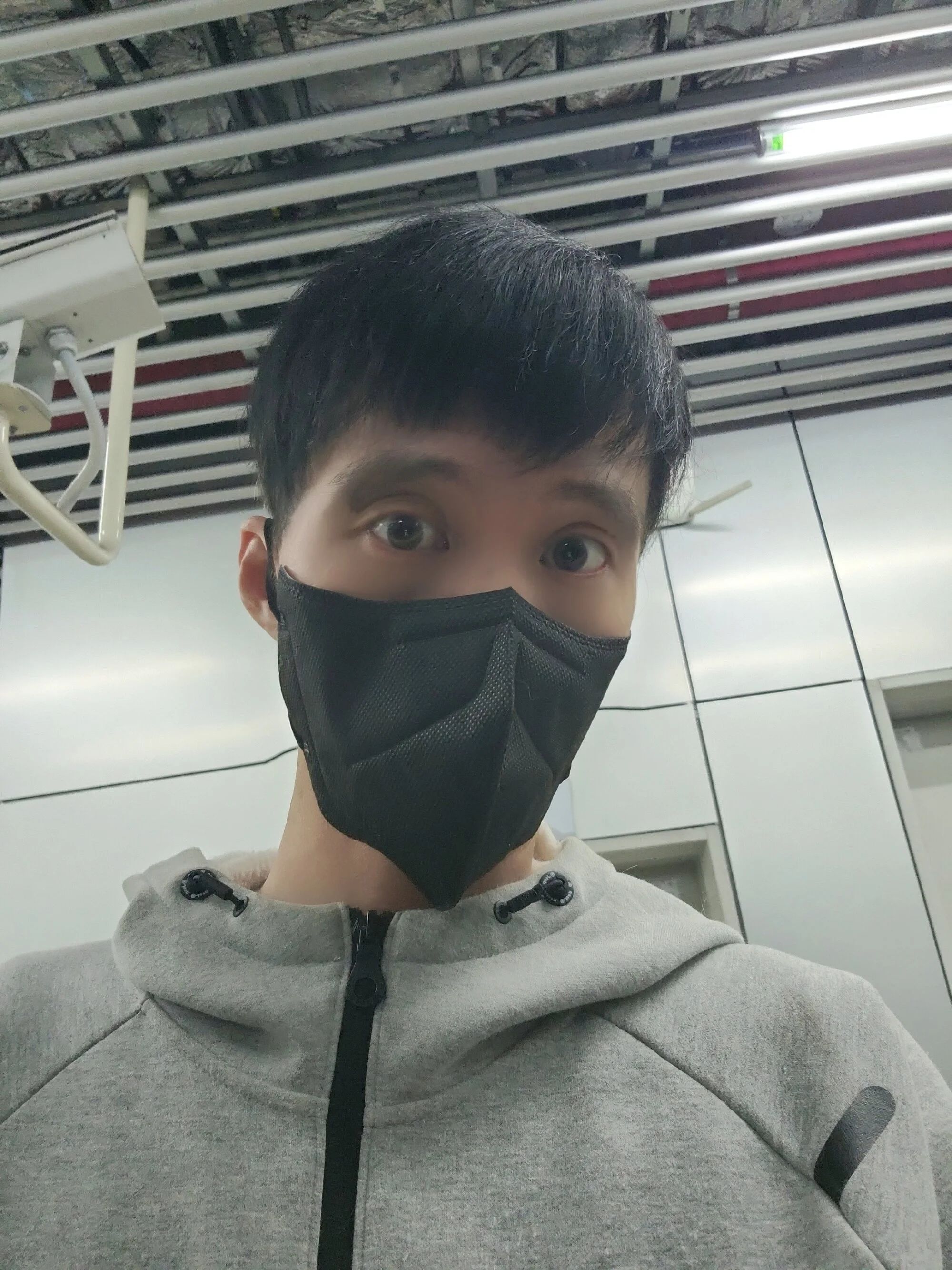 doerabbit