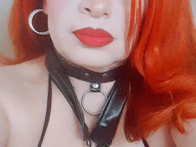 dairia_meraky webcam livesex profile in curvy cams