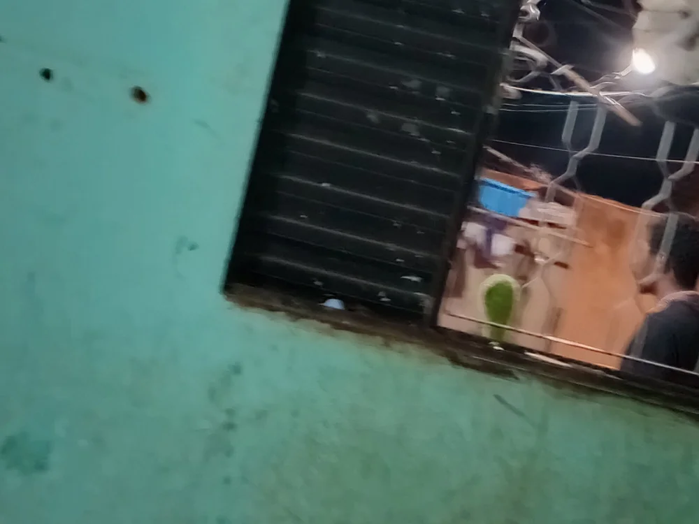 Offline XXX chat PUTAO6661