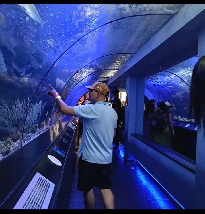 xilofonoo Obrolan XXX Offline