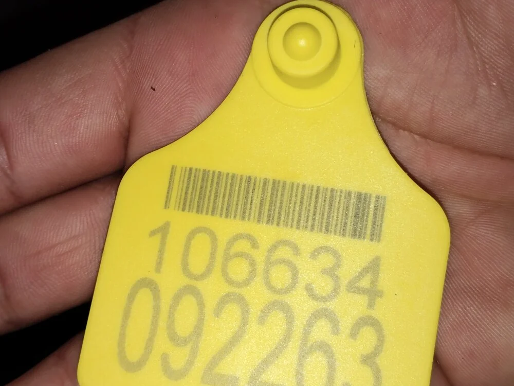 blackbeauty321 Offline XXX-chat