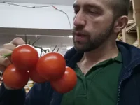 Модель theSmallest-dick