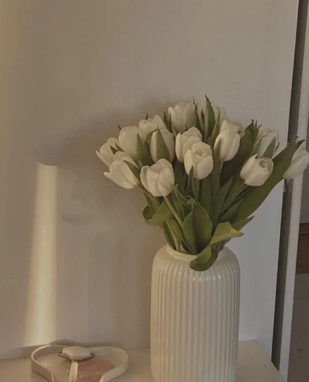 Sala de chat offline de cassi_purr