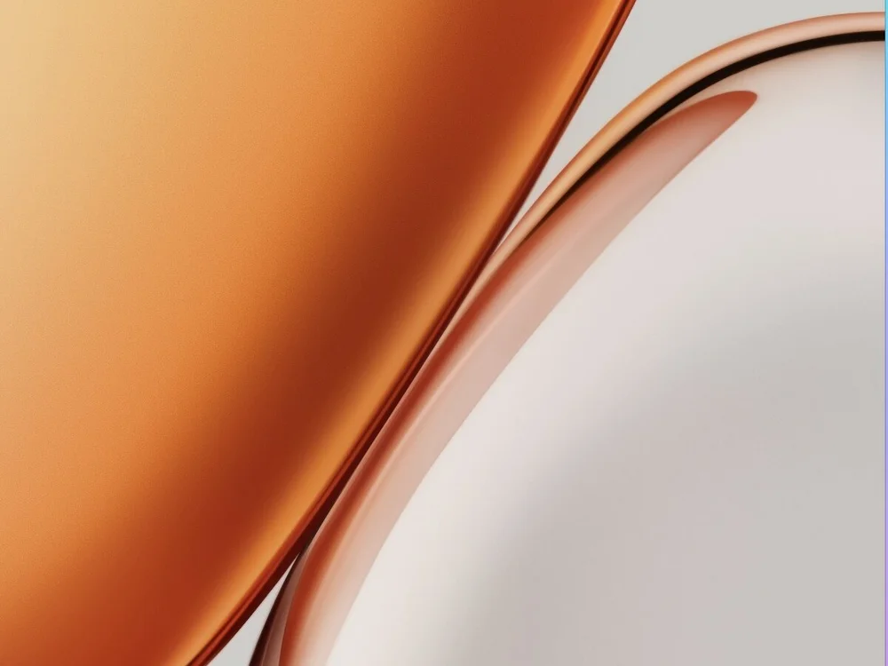 cover photo of CountedClamber