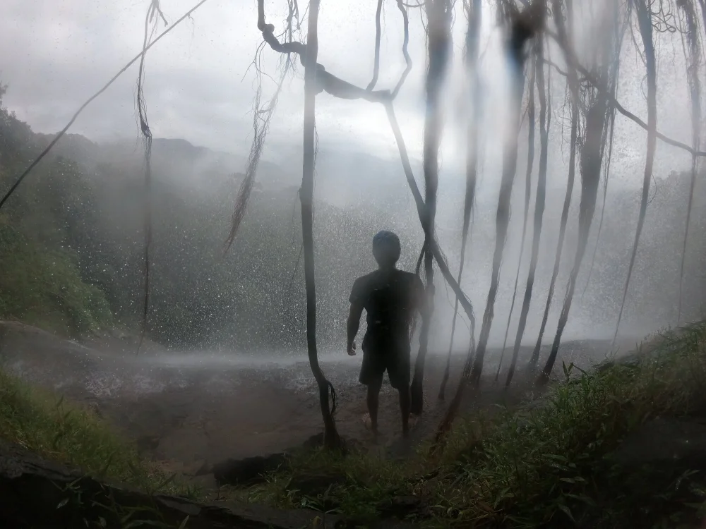 little-monter Chat XXX Ngoại tuyến