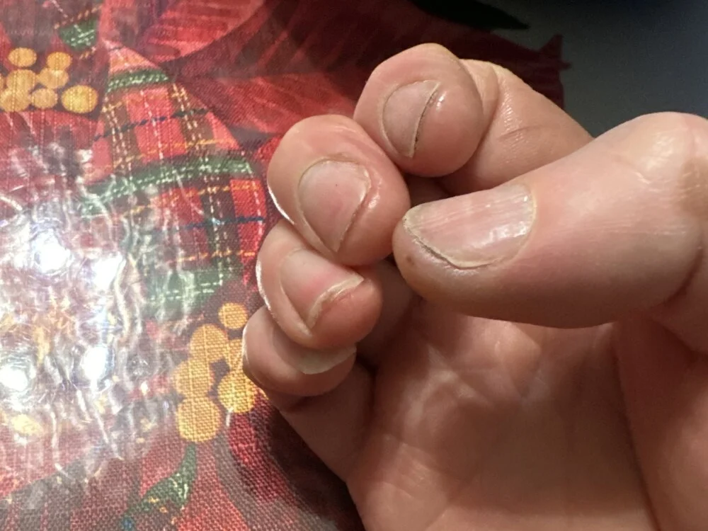 jorgezs1 offline XXX-chat