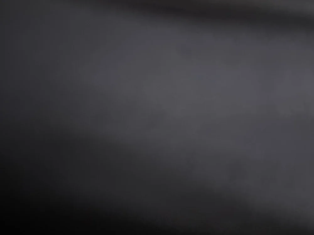 foto de portada de zorro828