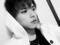 Модель yuyudicc