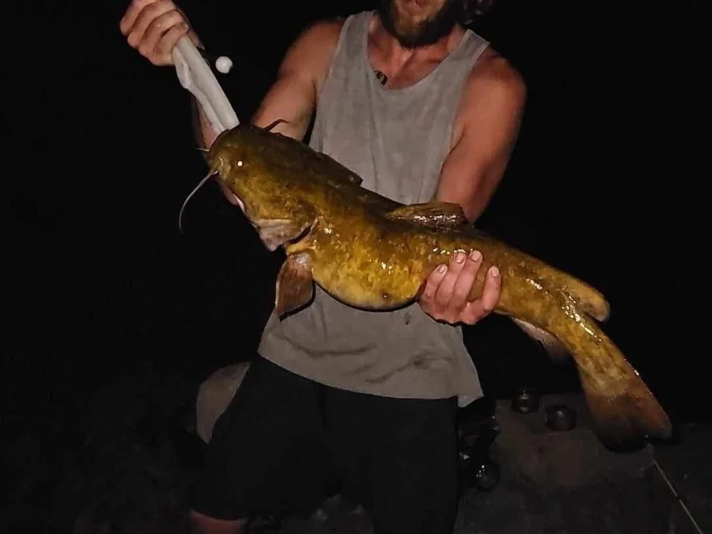 دردشة tmoneydick69 الجنسية دون اتصال