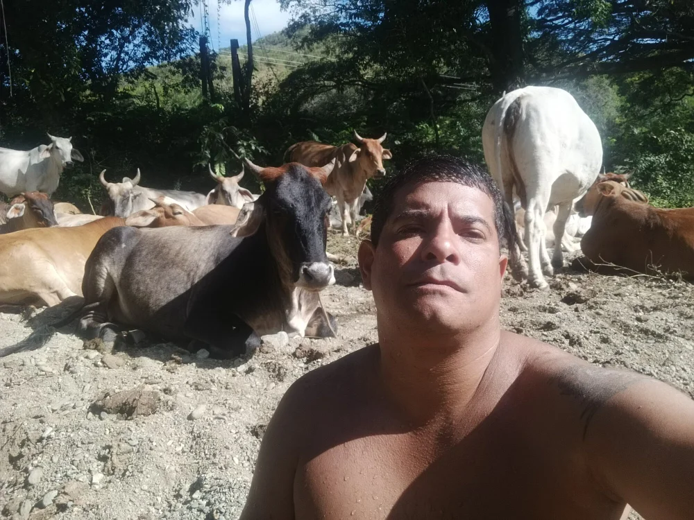 Chat XXX offline de josepis2