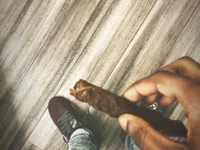 Модель RiskySlut