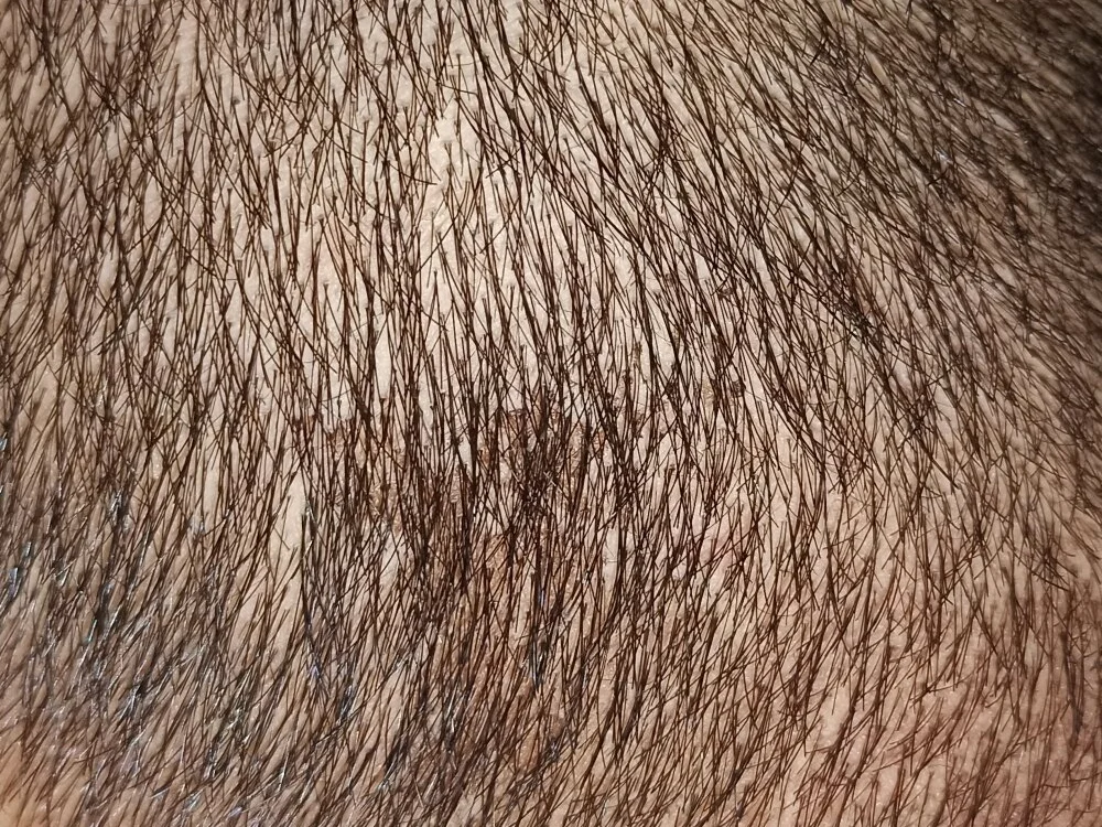 rahulsexseekerk876 offline XXX-chat