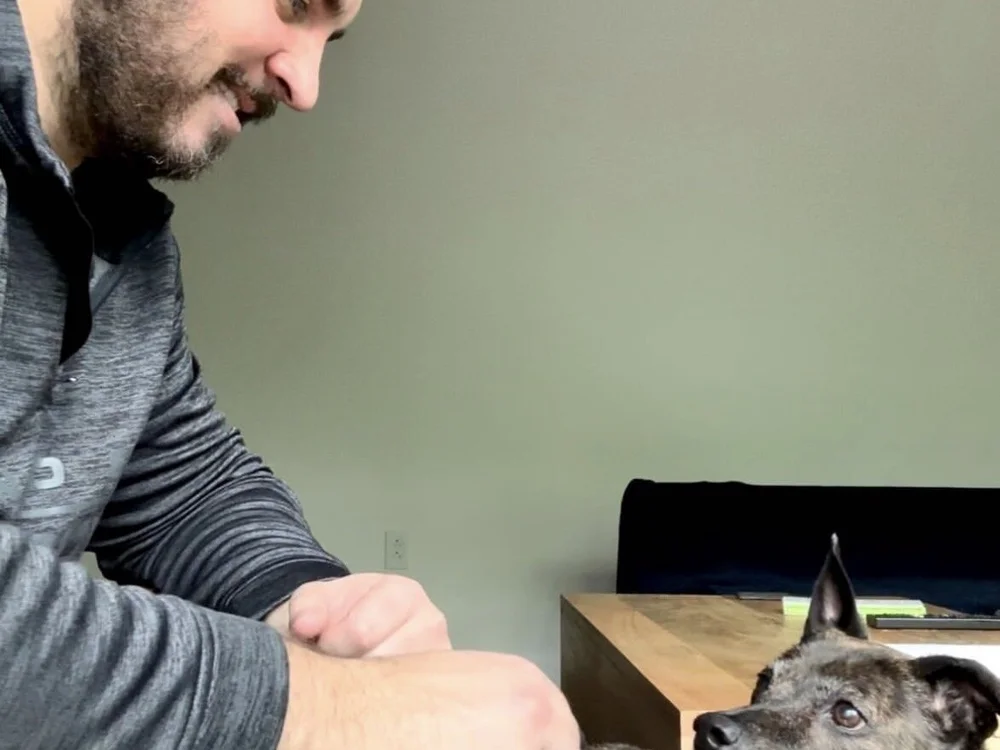 1234usernothere – Offline XXX chat