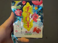 shouko_2026_