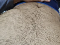 bastardhorny69