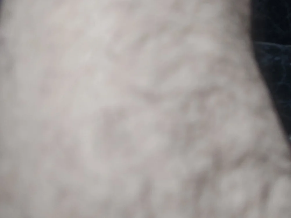 Vemgozarsafada offline XXX-chatje