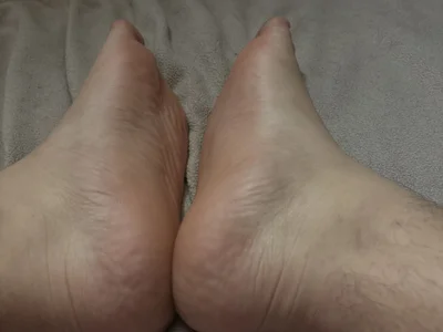 Rijfsyhvdt