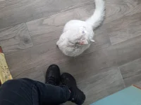 fer69999's webcam live show