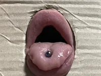 BenedettaCharryGirl